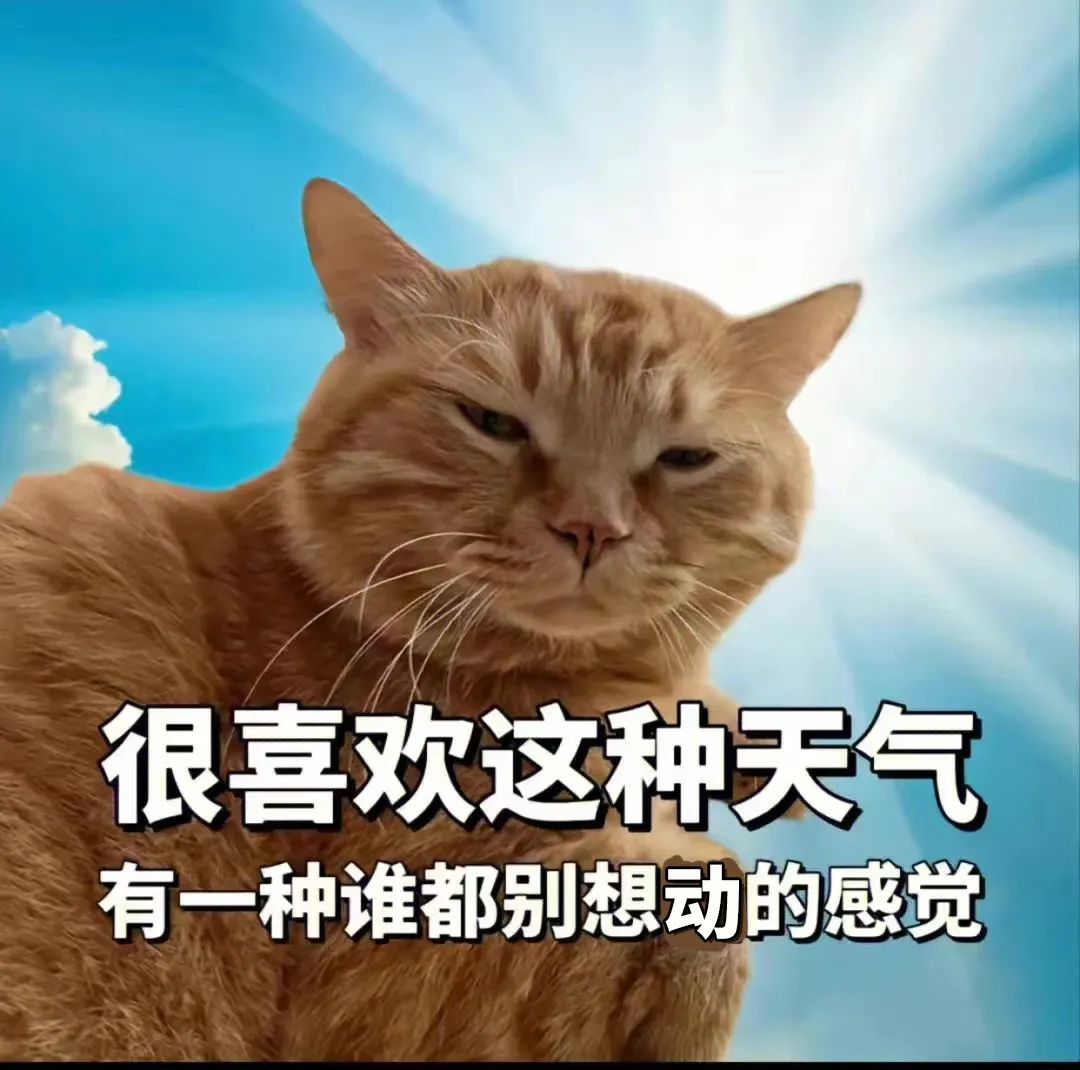 DƬ